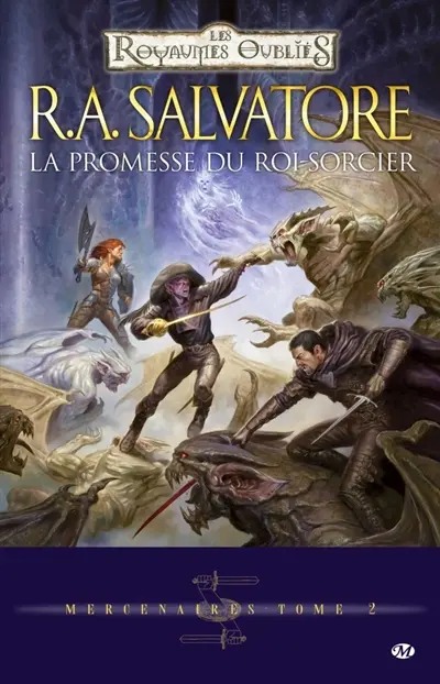 Mercenaires. Vol. 2. La promesse du roi-sorcier