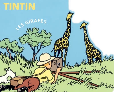 Tintin les girafes