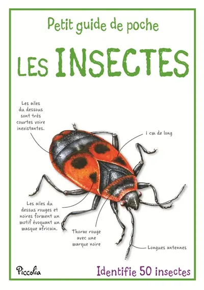 Les insectes : identifie 50 insectes