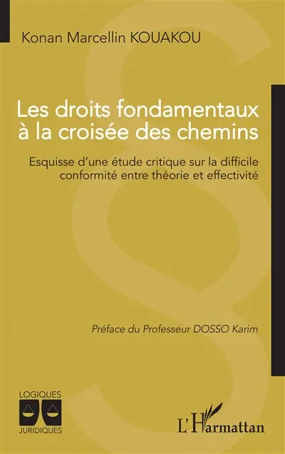 Les droits fondamentaux à la croisée des chemins : esquisse d'une étude critique sur la difficile conformité entre théorie et effectivité