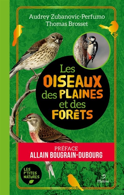 Les oiseaux des plaines et des forêts