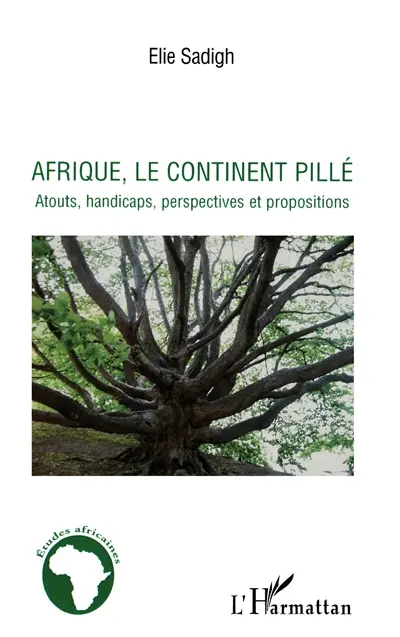 Afrique, le continent pillé : atouts, handicaps, perspectives et propositions
