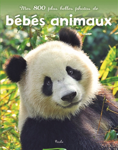 Mes 800 plus belles photos...