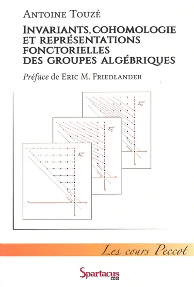 Invariants, cohomologie et représentations fonctorielles des groupes algébriques : cours Peccot, Collège de France : mars-avril 2010