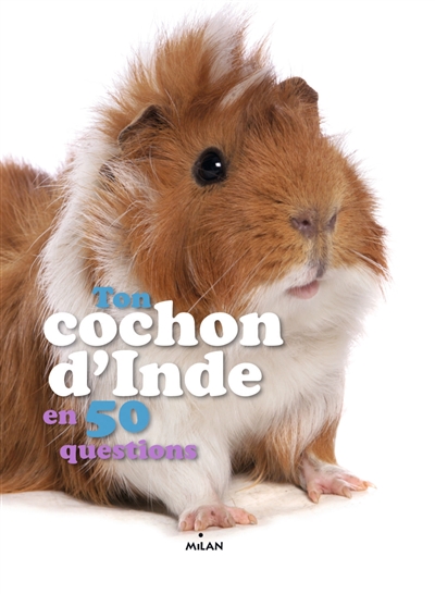 Ton cochon d'Inde en 50 questions