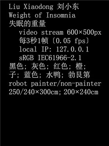 Liu Xiaodong : Weight Of Insomnia