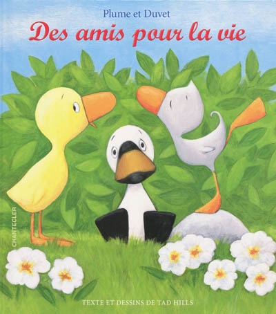 Plume et Duvet : des amis pour la vie