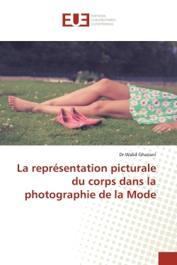 La représentation picturale...