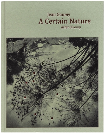 A certain nature after Giverny