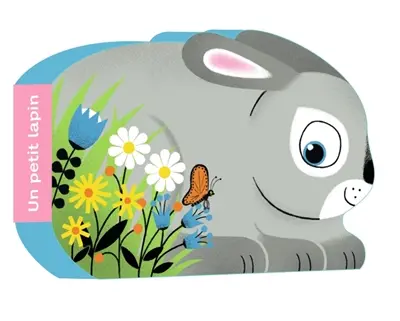Un petit lapin