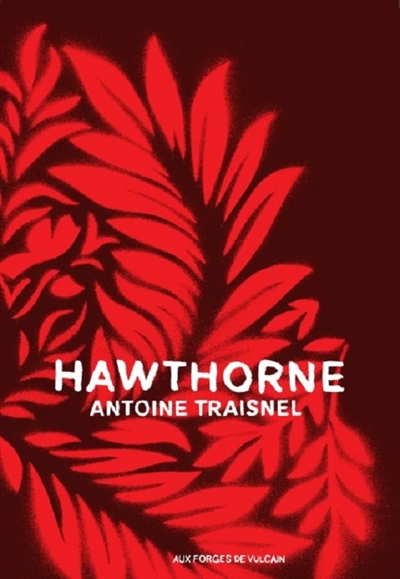 Hawthorne : blasted allegories