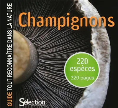 Champignons