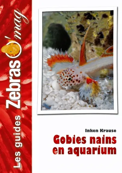 Gobies nains en aquarium