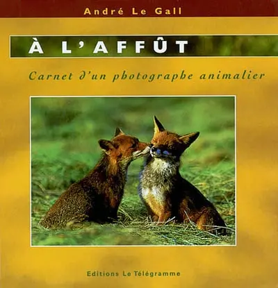 A l'affût : carnet d'un photographe animalier