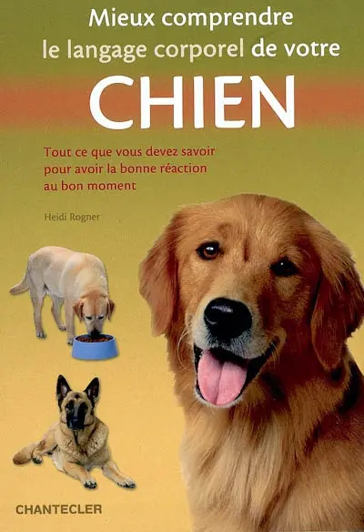 Mieux comprendre le langage corporel de votre chien : tout ce que vous devez savoir pour avoir la bonne réaction au bon moment