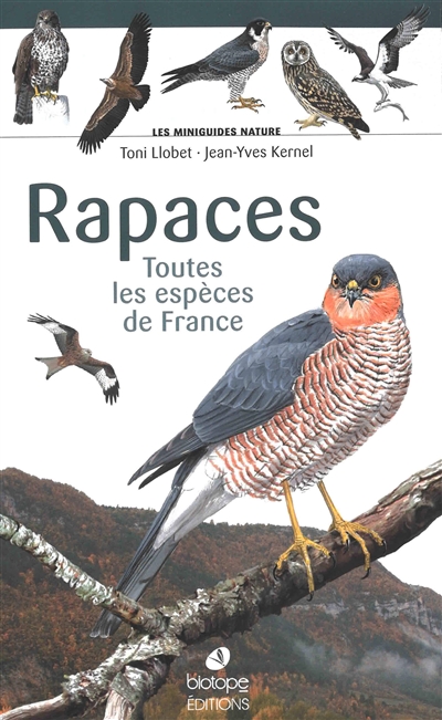 Rapaces : toutes les...