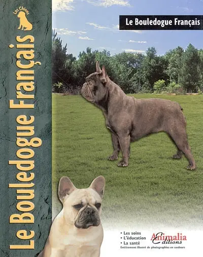 Le bouledogue français