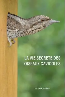 La vie secrète des oiseaux cavicoles : dans l'intimité des nichoirs