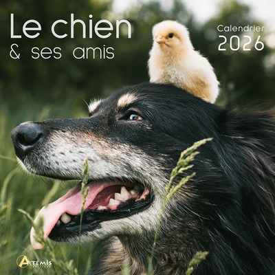 Le chien & ses amis :...