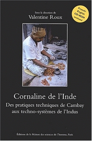 Cornaline de l'Inde : des pratiques techniques de Cambay aux techno-systèmes de l'Indus