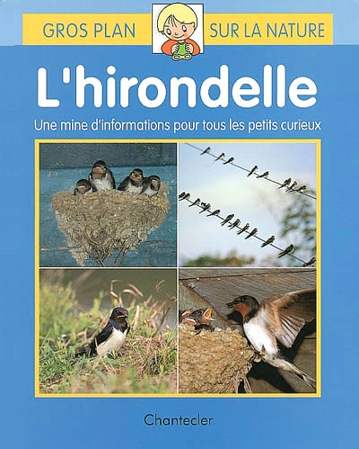 Gros plan sur la nature : l'hirondelle