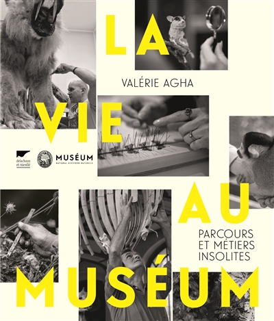 La vie au Muséum : parcours et métiers insolites