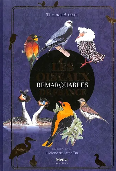 Les oiseaux remarquables de France