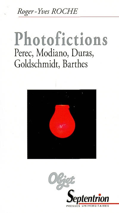 Photofictions : Perec, Modiano, Duras, Goldschmidt, Barthes