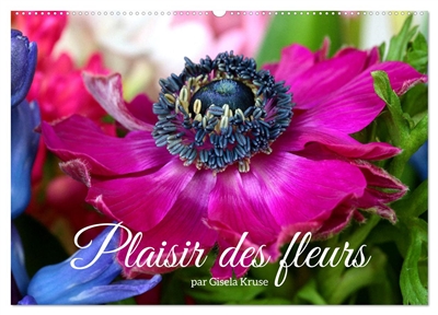 Plaisir des fleurs...