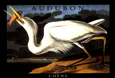 Audubon