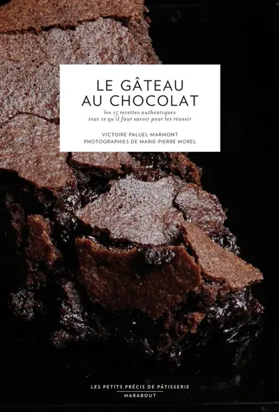 Le gâteau au chocolat : les 15 recettes authentiques, tout ce qu'il faut savoir pour les réussir