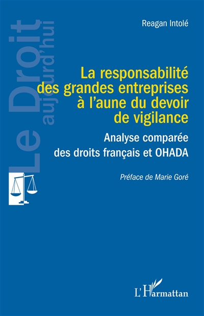 La responsabilité des grandes entreprises à l'aune du devoir de vigilance : analyse comparée des droits français et OHADA