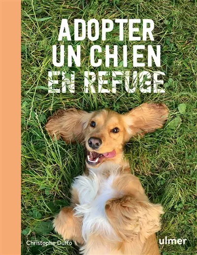 Pour en finir avec les idées reçues sur l’adoption en refuge !