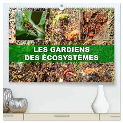 Les gardiens des...