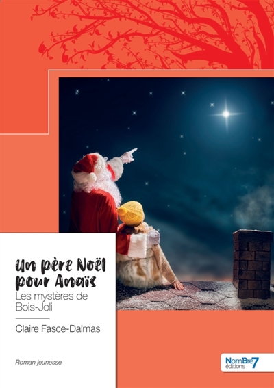 Un père Noël pour Anaïs : Les mystères de Bois-Joli