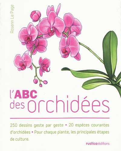 L'abc des orchidées