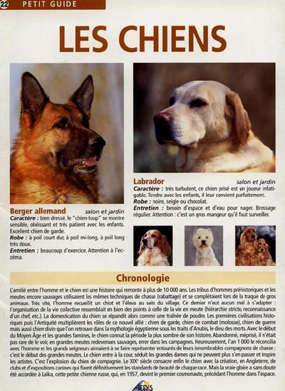 Les chiens