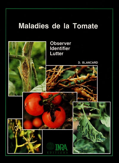 Maladies de la tomate : observer, identifier, lutter