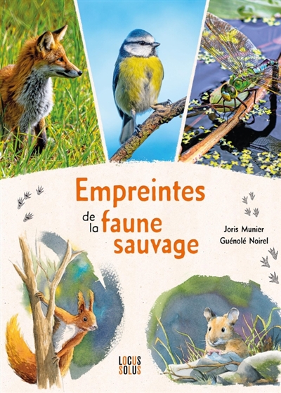 Empreintes de la faune sauvage