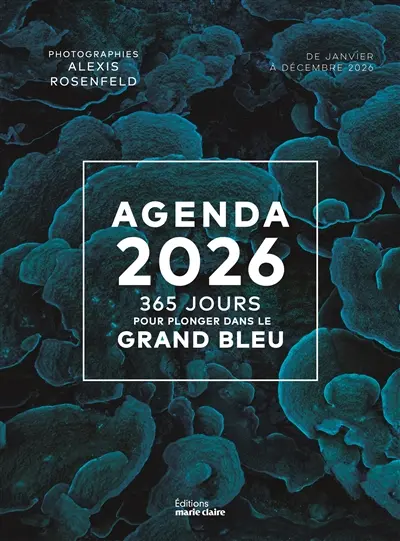365 jours pour plonger dans le grand bleu : agenda 2026