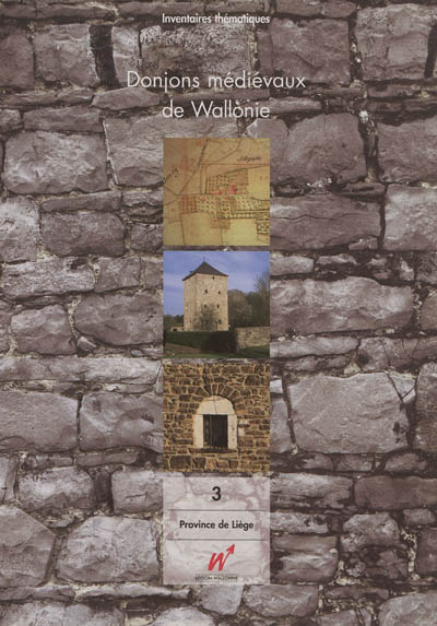 Donjons médiévaux de Wallonie. Vol. 3. Province de Liège : arrondissements de Huy, Liège, Verviers et Waremme