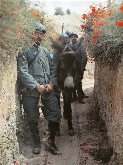 Plaques sensibles : autochromes de la Grande Guerre