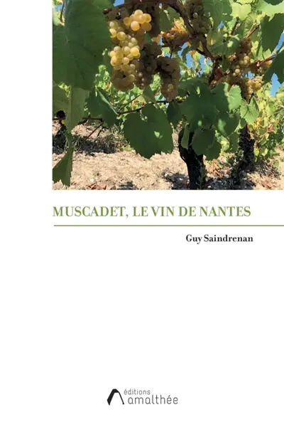 Muscadet, le vin de Nantes