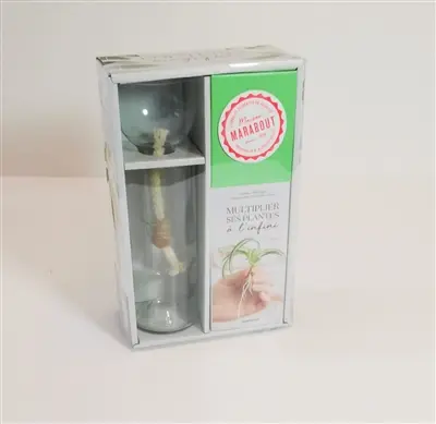 Mon kit à boutures magiques : multiplier ses plantes à l'infini
