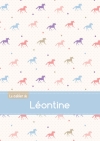 Le cahier de Léontine :...