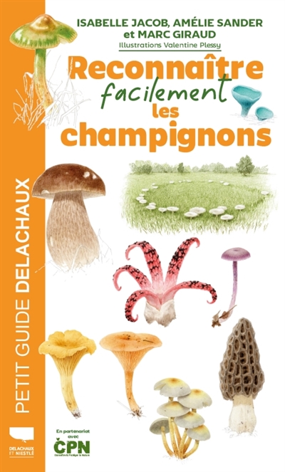 Reconnaître facilement les champignons