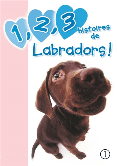 1, 2, 3 histoires de labradors !