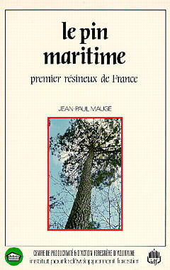 Le Pin maritime : premier résineux de France