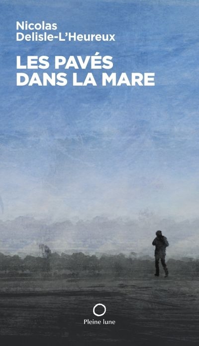 Les pavés dans la mare