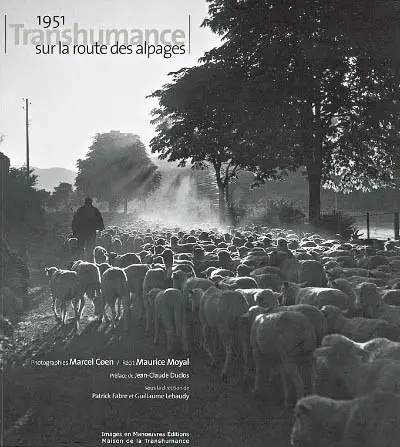 1951, transhumance sur la route des alpages